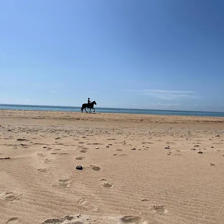 Casa Awa El Palmar de Vejer